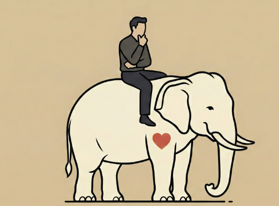 The Grey Mahout Approach - Elephant and Rider metaphor representing the thinking and emotional sides of leadership